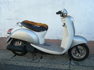 HONDA/z_ XN[s[50  AF55-1001