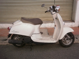 HONDA/z_  WmNA50 AF54-1125