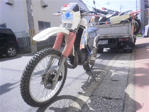 SUZUKI/XYL  RH250 SJ11B-1006