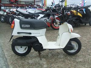 HONDA/ホンダ スカッシュ50(6V) AB11-1019