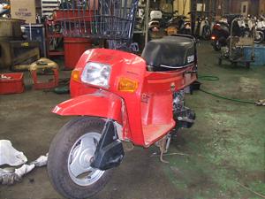 HONDA/ホンダ スカッシュ50 AB11-1028