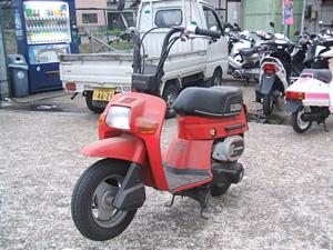 HONDA/ホンダ スカッシュ50(12V) AB11-1066
