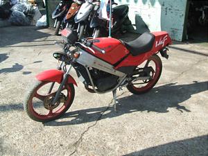 SUZUKI WOLF 50/ ウルフ50 NA11A-1937