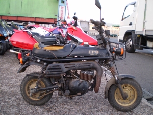 SUZUKI/XYL G|50i6V)/EPO RV50-1172
