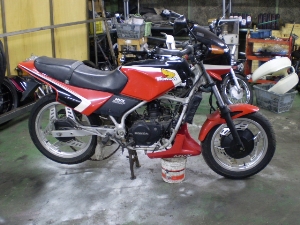 HONDA/z_ MVX250F MC09-1007