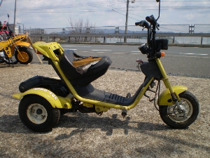 HONDA/z_ [hFOX50/ROADFOX@TB10-1005
