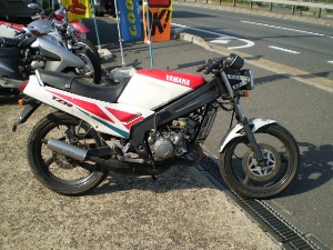 YAMAHA/}n@TZR125@3TY-0337