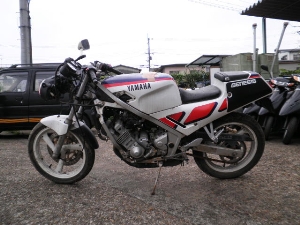 YAMAHA/}n FZR250@2KR-1410