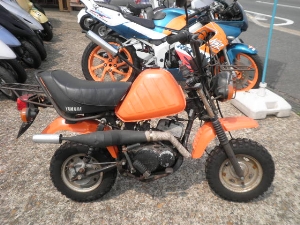 YAMAHA/}n@tH[Q50/VOGEL@4U1-2020