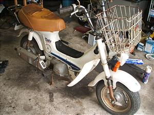 HONDA CHALY50/シャリー CF50-3058