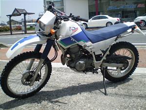 YAMAHA/ヤマハ セロー225 4JG-1093