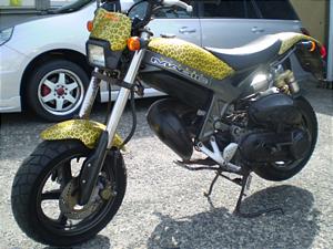 SUZUKI@TR50Xg[}WbN  CA1LB-1050