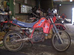 HONDA@MTX50R@AD06-1300