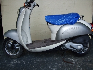 HONDA/z_ NAXN[s[50i12V)/SCOOPY@AF55-1100