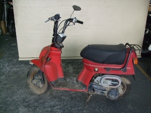 HONDA/z_ XJbV50i12V)/SQUASH@AB11-1069