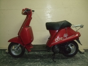 YAMAHA/}n L[g50i12V)/CUTE@53L-1343