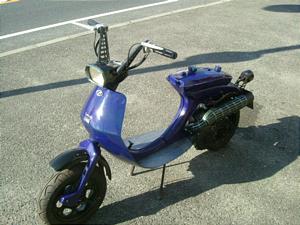 ランブレッタ comela DGM61260