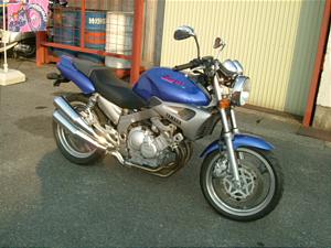 YAMAHA/ヤマハ ジール250 3YX-0486
