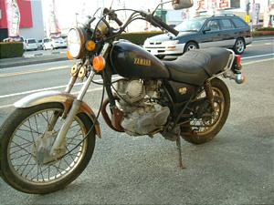 YAMAHA/ヤマハ SR250 4J1-0022