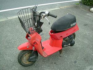 HONDA SQUASH50/スカッシュ AB11-1008