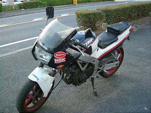 HONDA CBR250R MC17-1013
