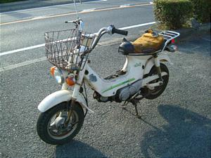 HONDA CHALY50/シャリー50 CF50-2749