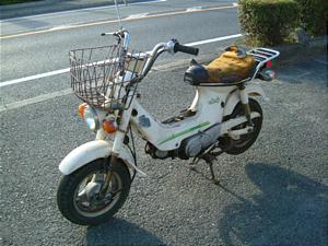 HONDA  CHALY50/V[50  CF50-2749