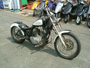 YAMAHA  VIRAGO 250  r[S250@3DM-0569