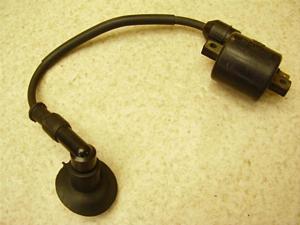 XJbV50(12V)/ SQUASH COjbVvOR[h AB11-1040