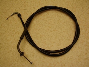 `Cm/ choinori  ANZC[ CZ41A-1036