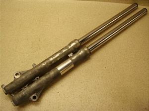Z[225/ SEROW225 tgtH[N 1KH-0406
