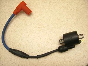 XJbV50/ SQUASH  COjbVvOR[h AB11-1062 (12V)