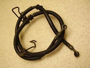 }WFXeB250/ MAJESTY tgu[Lz[X 4HC