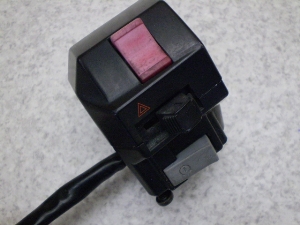}WFXeB250/ MAJESTY  nhXCb`E 4HC-0498