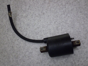 }WFXeB250/ MAJESTY COjbVvOR[h  4HC-0498
