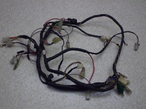 `v50/ CHAMP  Cn[lX 54V-3066