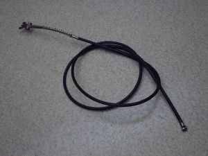 `v50/ CHAMP  Au[LC[ 54V-3066