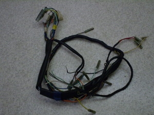 o[fB[50(6V)/ Birdie Cn[lX FR50-6511