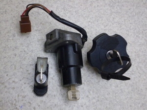 Z[225/ SEROW225 L[Zbg 1KH-0461