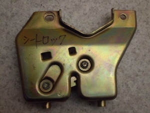 Wm/ GIORNO  V[gbN AF24-1702
