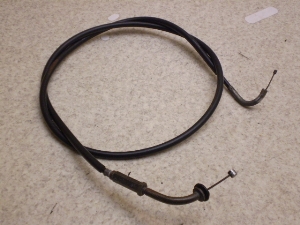 `Cm/ choinori  ANZC[ CZ41A-1002