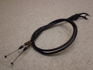 Z[225/ SEROW225 ANZC[ 1KH-0048