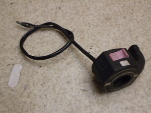 Z[225/ SEROW225 nhXCb`E 1KH-0048