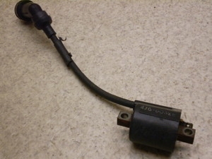Z[225/ SEROW225 COjbVvOR[h 4JG-1131