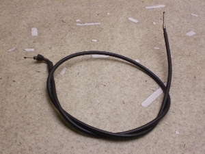 `Cm/ choinori  `[NC[ CZ41A-1563