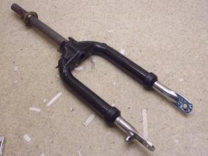 `Cm/ choinori  tgtH[N CZ41A-1181