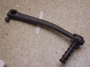 `Cm/ choinori  LbNy_ CZ41A-1181