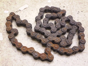 `Cm/ choinori  `F[ CZ41A-1461