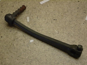 `Cm/ choinori  LbNy_ CZ41A-1689
