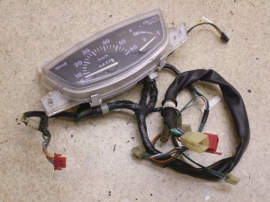 CufBI/ Live Dio50(12V) [^[ AF34-1229